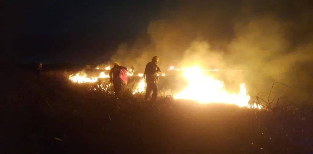Incendio en un sector de la Reserva Natural de Punta Lara