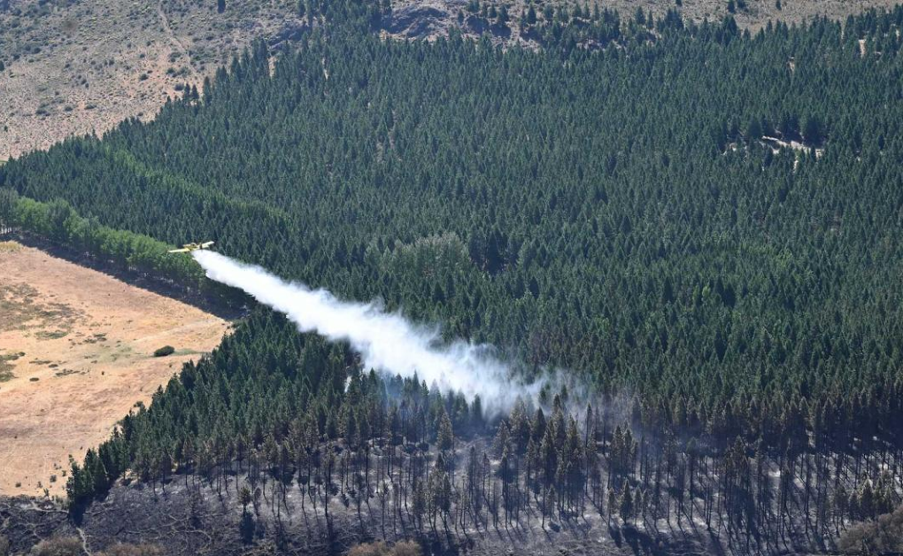 Incendio en el Parque Nacional Los Alerces: está «activo, pero apaciguado»