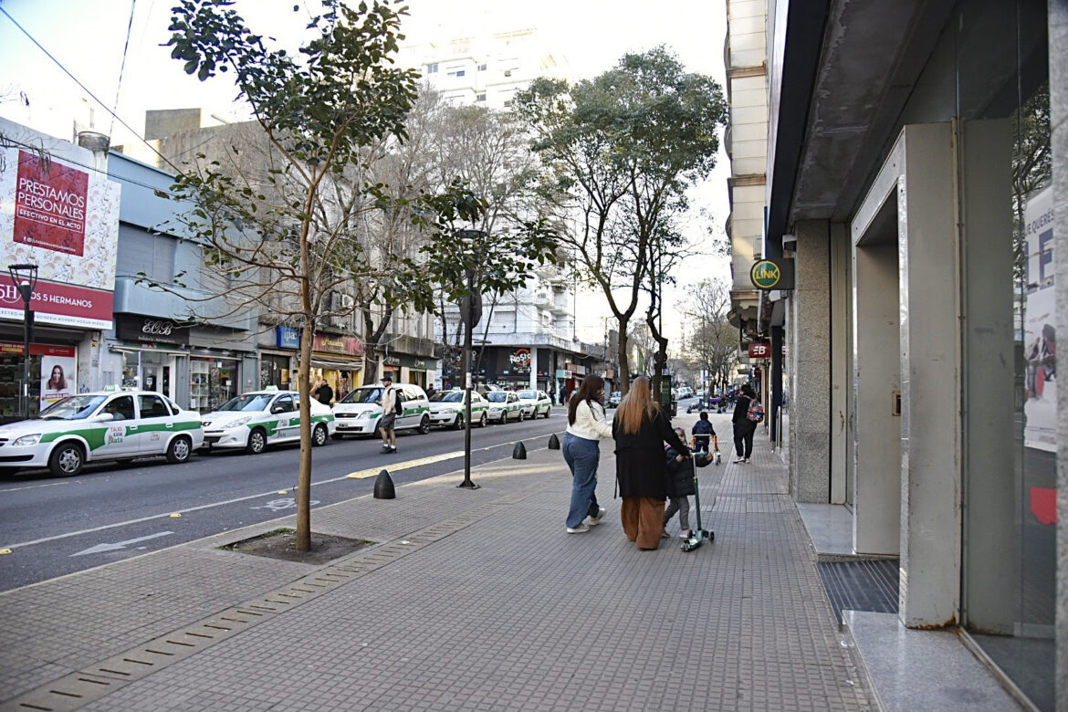 Alak impulsa la rejerarquización y puesta en valor de los centros comerciales de calle 8 y 12