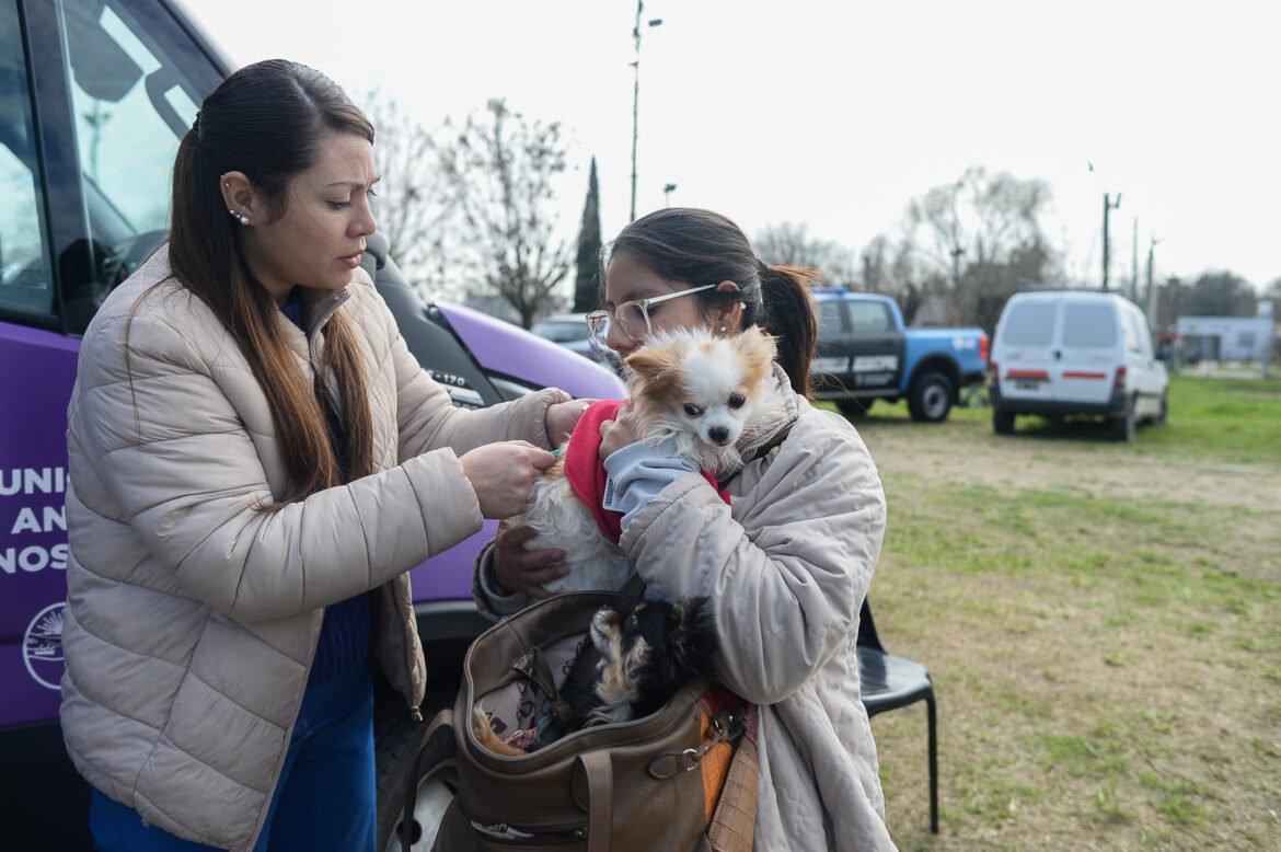 Acceso a servicios básicos, talleres, asesoramiento y espectáculos llegan a Villa Elisa
