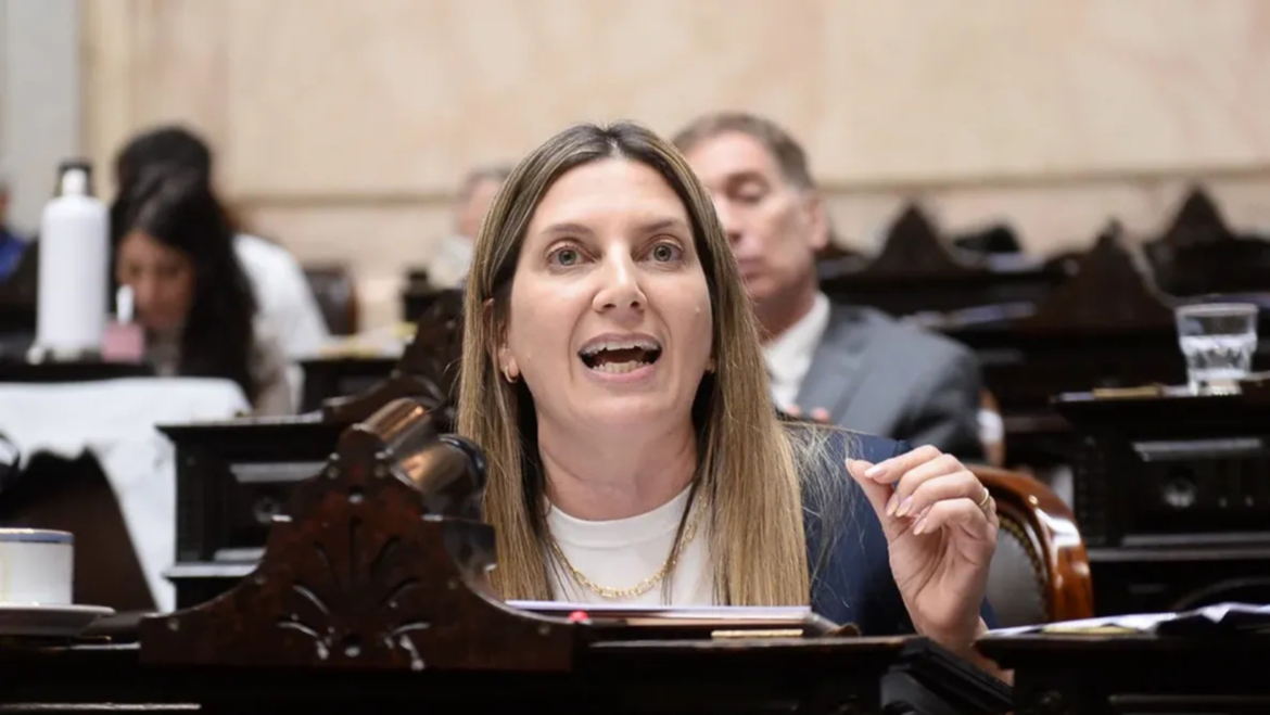 “Los corruptos y los terroristas están festejando” furioso descargo de la autora del proyecto de Ficha Limpia