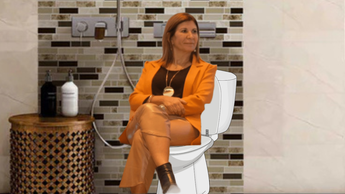 Una diputada bonaerense de Unión por la Patria propuso declarar al inodoro como “un lugar para la paz”