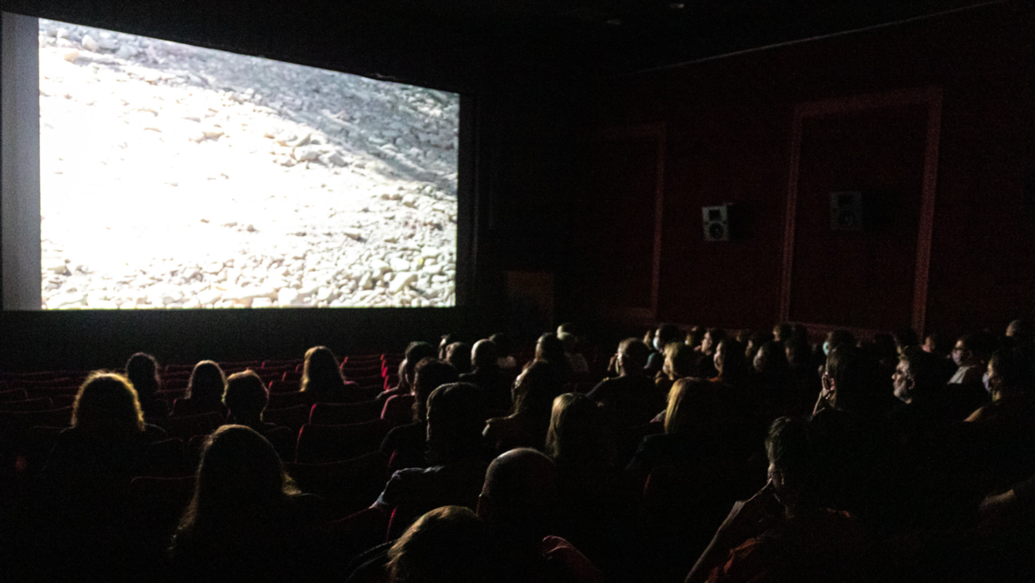 El FESAALP conquista las pantallas de los cines municipales