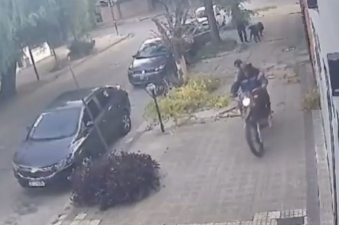 Dos perros atacaron a motochorros y evitaron le roben a su dueño en La Plata