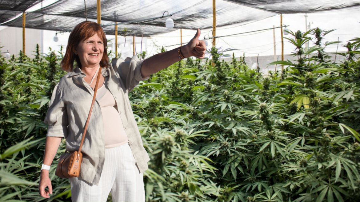 Bullrich confirmó que dará de baja el Reprocann