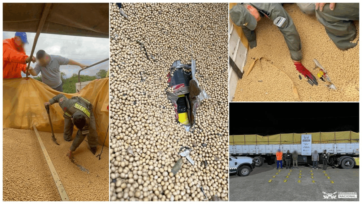 Camuflan 20 kilos de cocaína entre cargamento de granos de soja