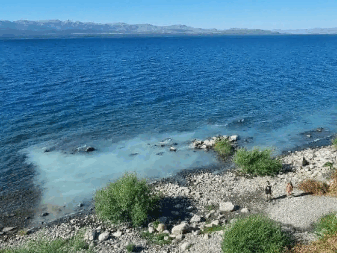 Preocupación en Bariloche por contaminación en el lago Nahuel Huapi por desechos sin tratamiento
