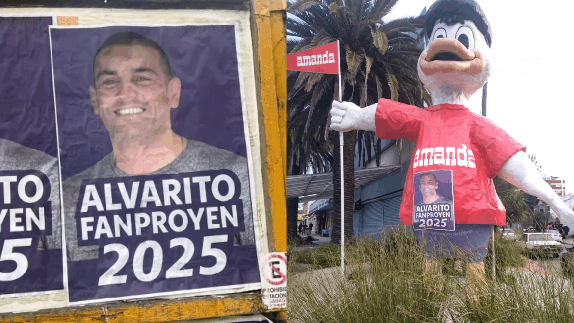 Mar del Plata: una foto del famoso Pato se volvió viral portando un afiche de Álvaro Fanproyen pegado en su remera