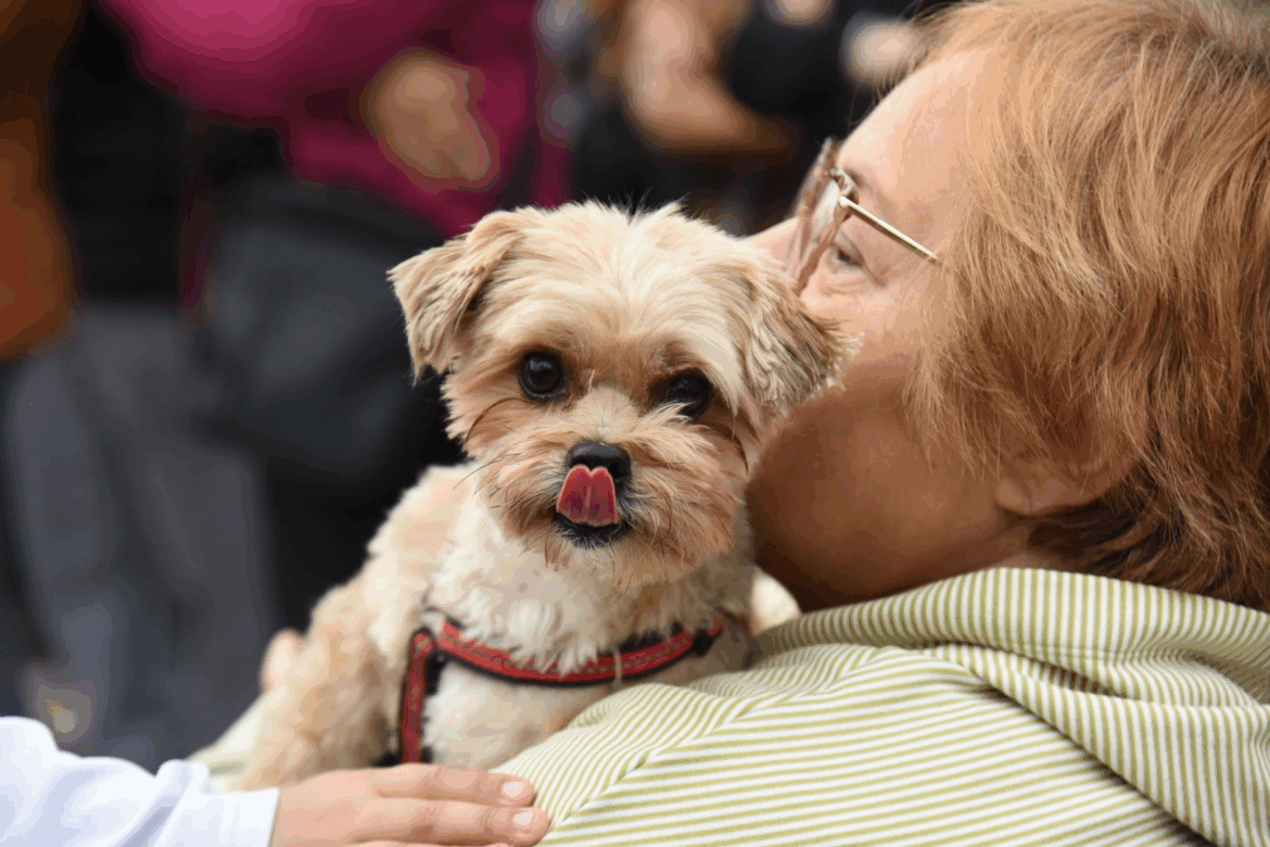Llegan dos jornadas veterinarias gratuitas con vacunación y castración a Tolosa