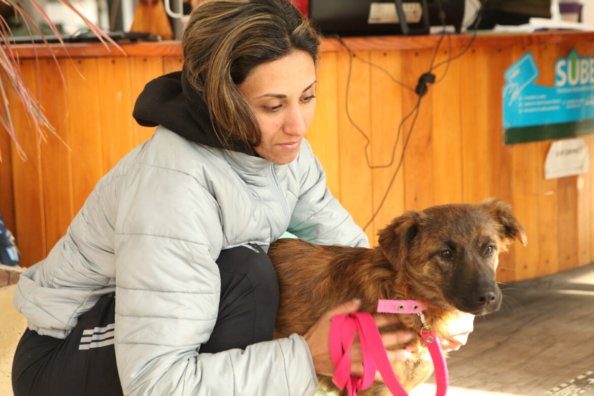 Anuncian dos jornadas gratuitas de vacunación y castración para perros y gatos en La Plata