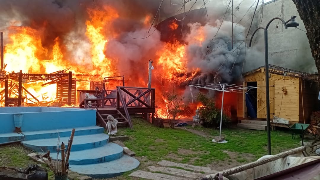 Tragedia en Los Hornos: un voraz incendio dejó ocho perros muertos y pérdidas totales en una vivienda