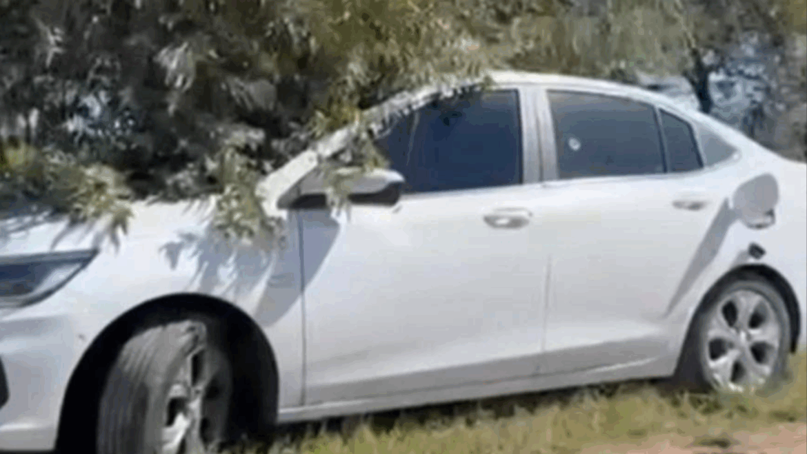 Doble crimen: hallaron a un hombre y una mujer asesinados a balazos en un camino rural