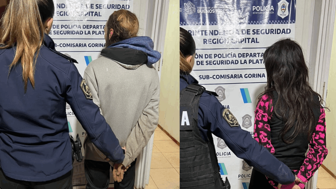 Detuvieron a dos personas por robar electrodomésticos en una escuela de Gorina