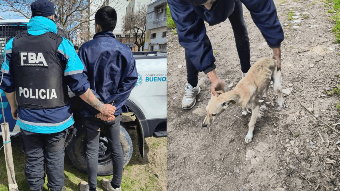 La Justicia imputó a un hombre por maltrato animal en La Plata