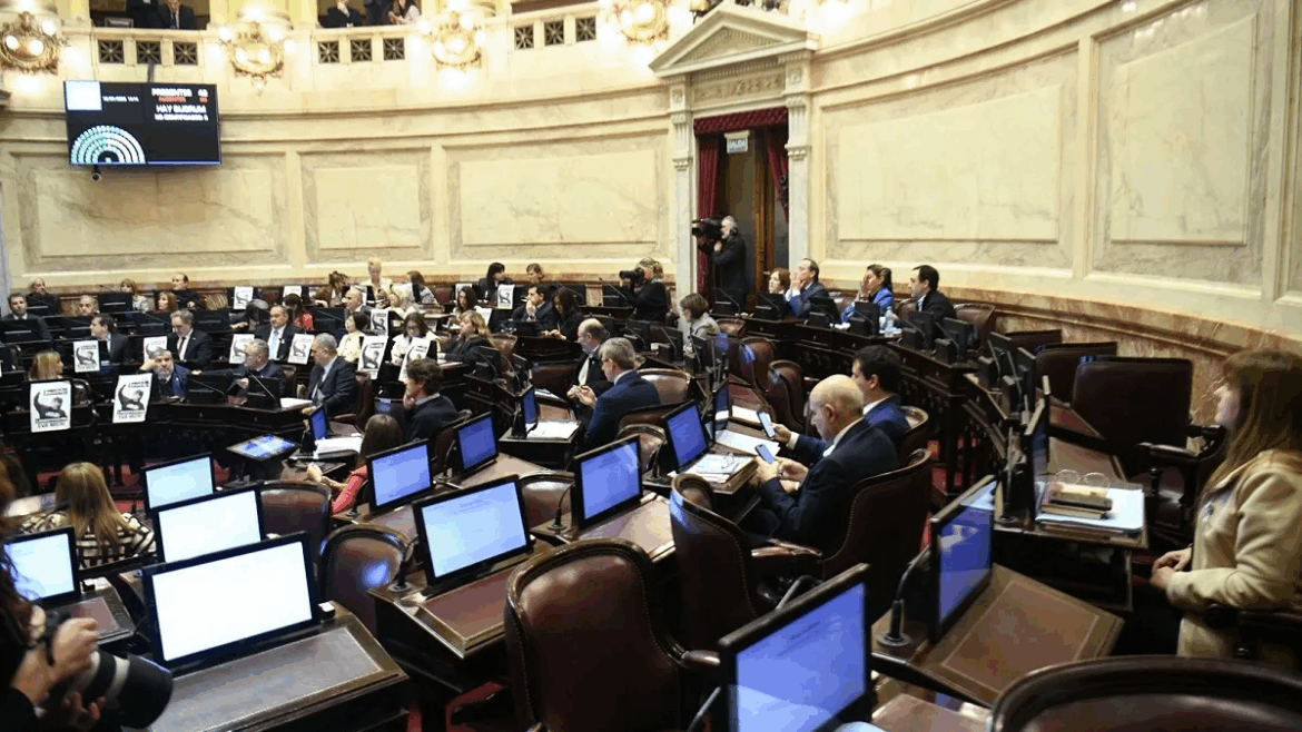 El Senado ya puso fecha para tratar los vetos al financiamiento universitario y la emergencia pediátrica