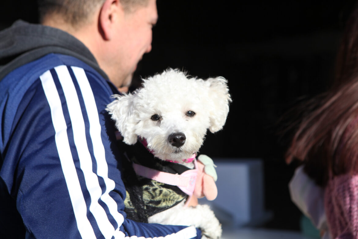 Semana de vacunación gratuita para animales en Parque San Martín
