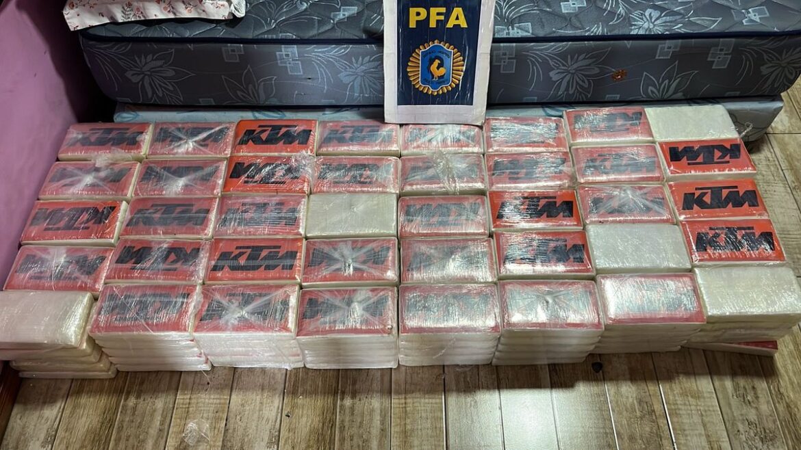 Cayó un narco peruano y secuestraron más de 260 kilos de cocaína en el AMBA