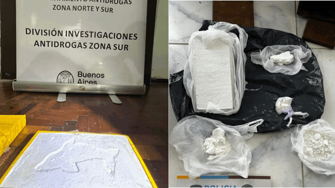 Cayó una banda narco peruana que operaba en Almagro: vendían cocaína marcada con el logo de un delfín