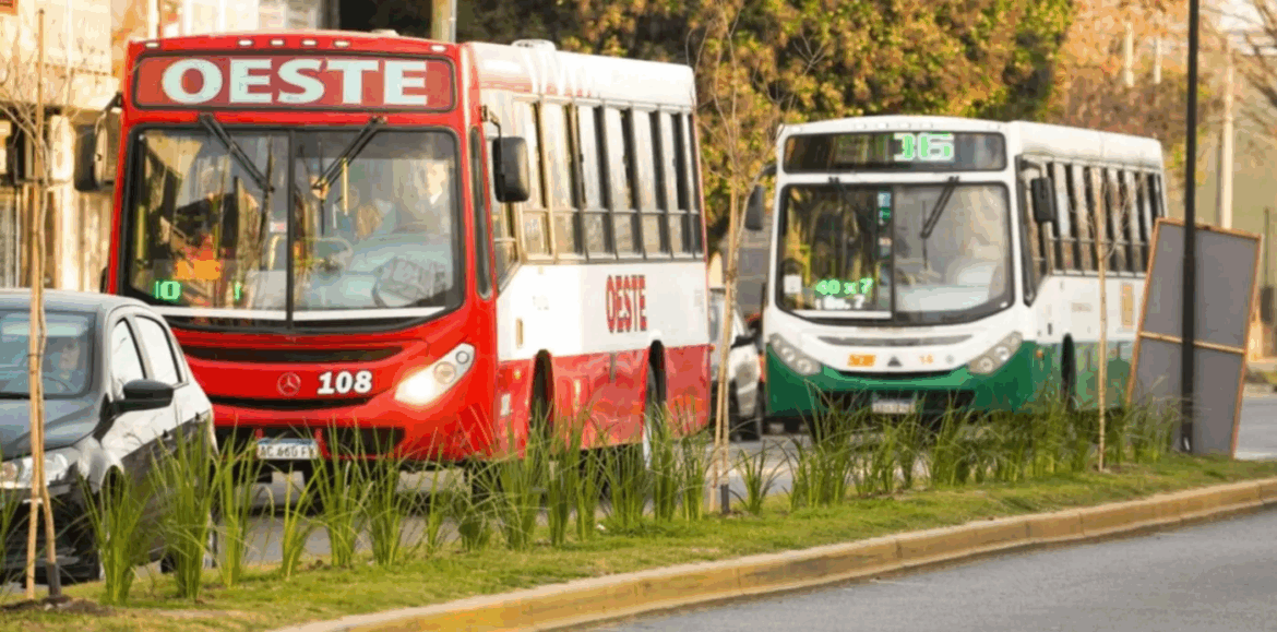 Micros gratis este domingo en La Plata para facilitar el voto este domingo