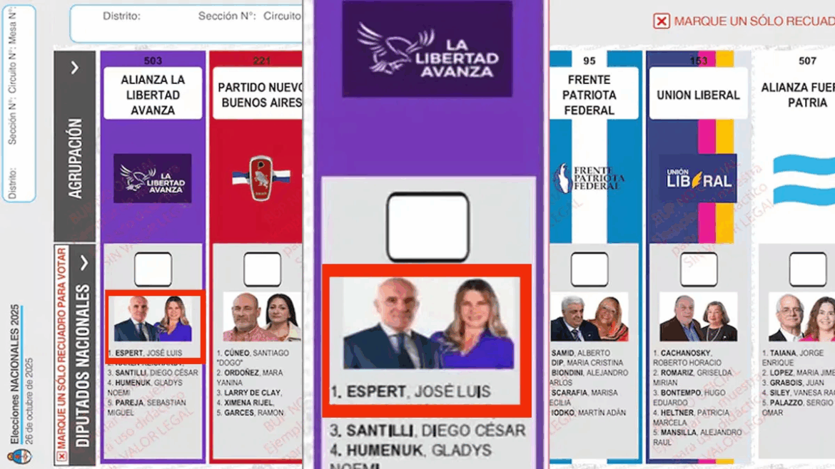 A pesar del alto costo económico, el Gobierno apeló la decisión judicial y pidió reimprimir las boletas