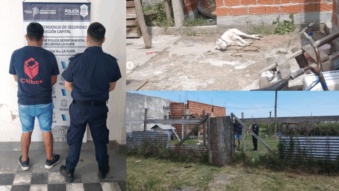 Un niño de 9 años resultó herido tras ser mordido por un perro dogo y el propietario quedó detenido