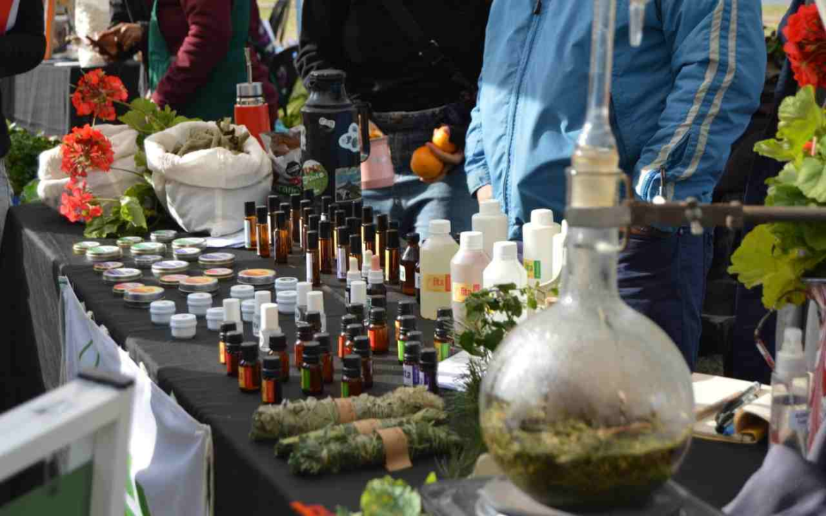 Del productor a la mesa: feria agroecológica, juegos y shows en el Paseo del Bosque