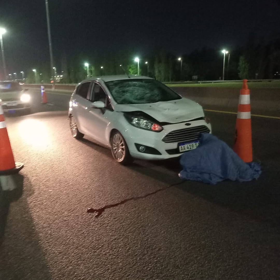 Autopista Buenos Aires–La Plata: un hombre murió atropellado