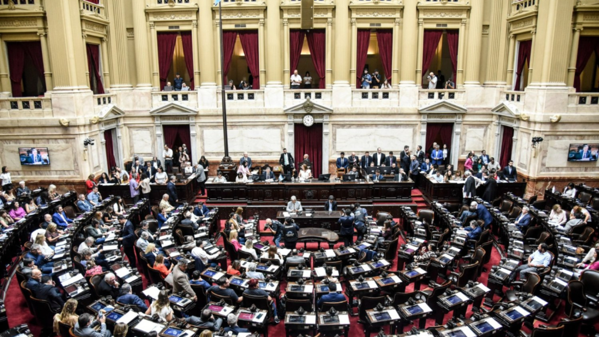 El Gobierno busca reabrir en el Congreso el debate por discapacidad y el financiamiento universitario con nuevos proyectos