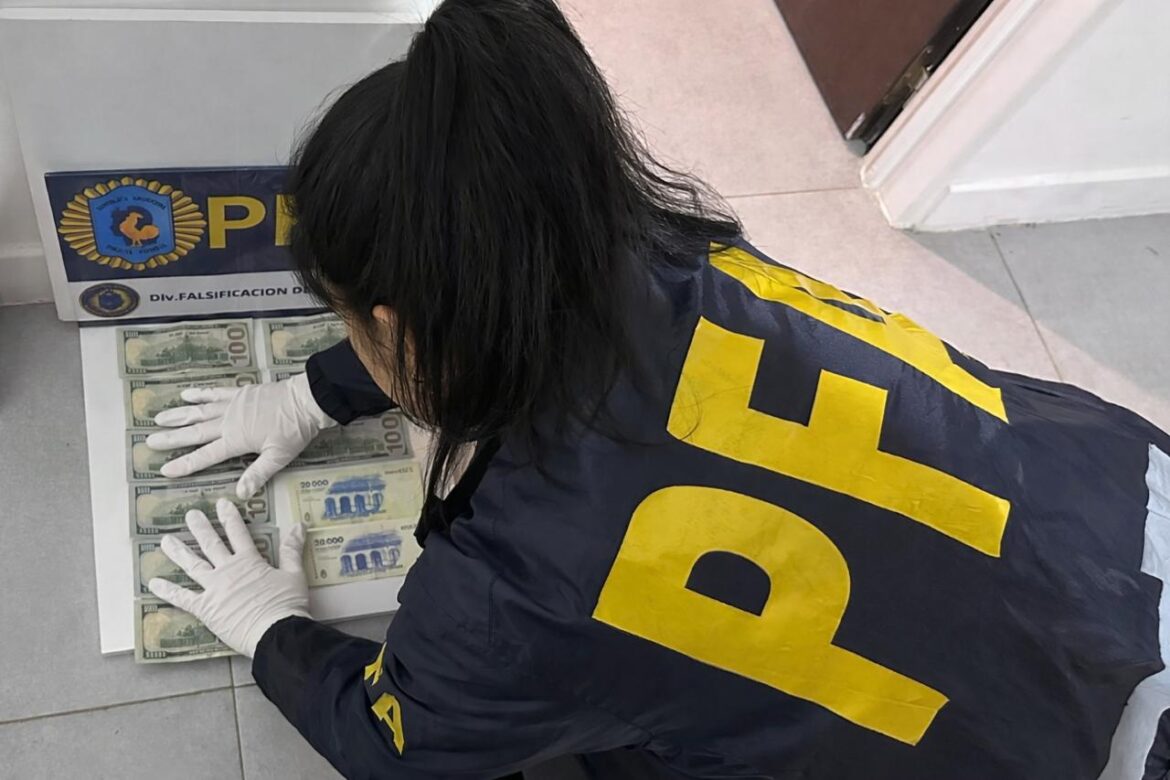 “Los Falsimuladores”: desbarataron una banda acusada de fabricar billetes falsos