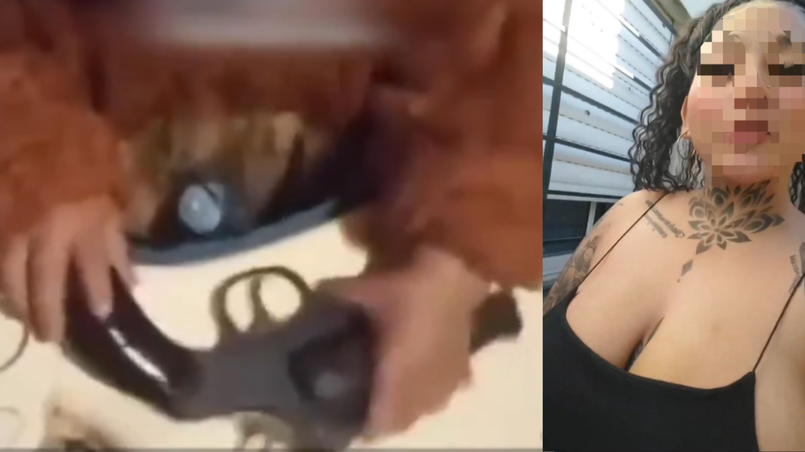 Ensenada: una mujer se filmó con su hijo enseñándole a manipular un arma y terminaron allanándole la casa