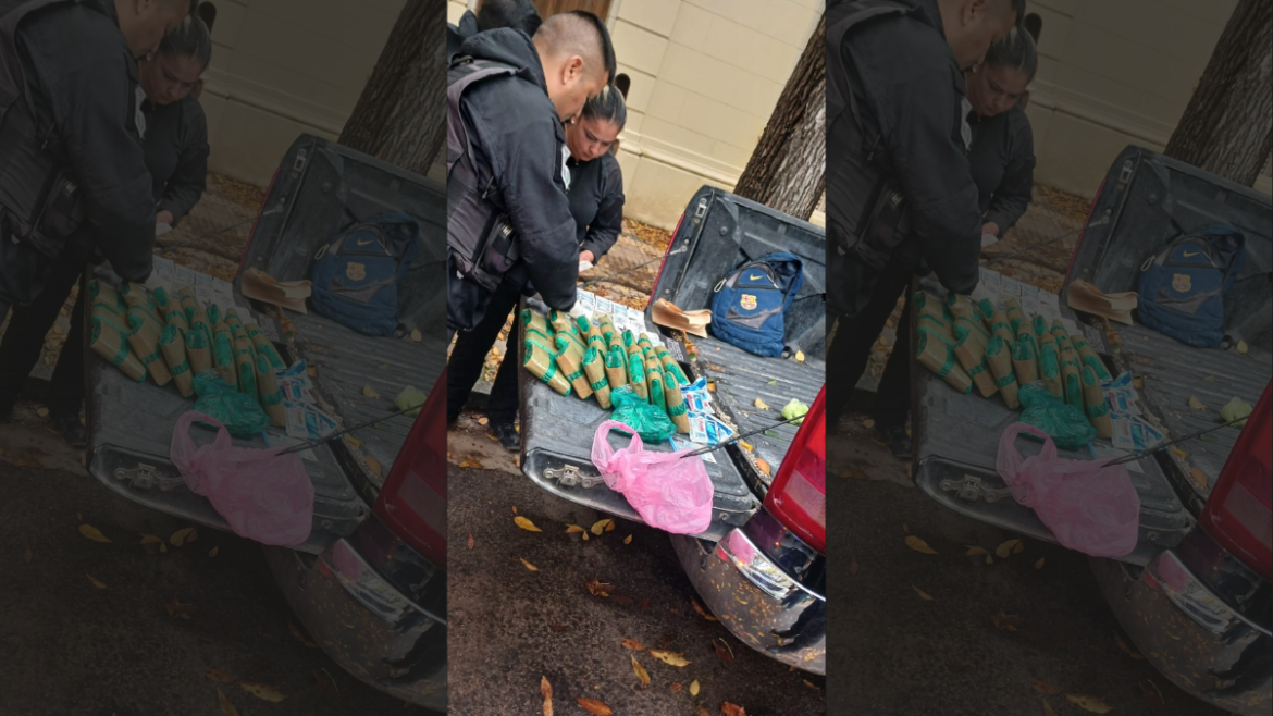 Detuvieron a un hombre con más de cinco kilos de hojas de coca y casi $6 millones en La Plata
