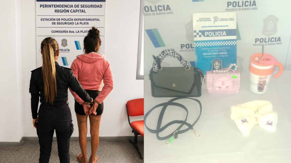 Cayeron dos mujeres acusadas de robar productos de un comercio en La Plata