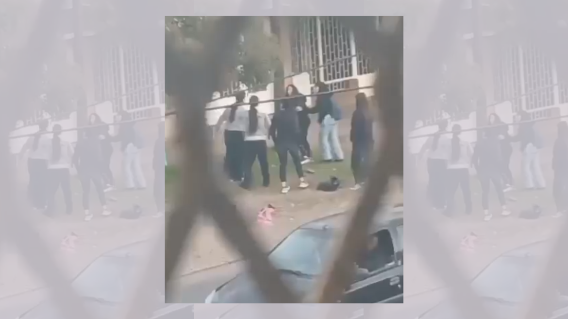 Video: Denuncian una brutal agresión en Los Hornos
