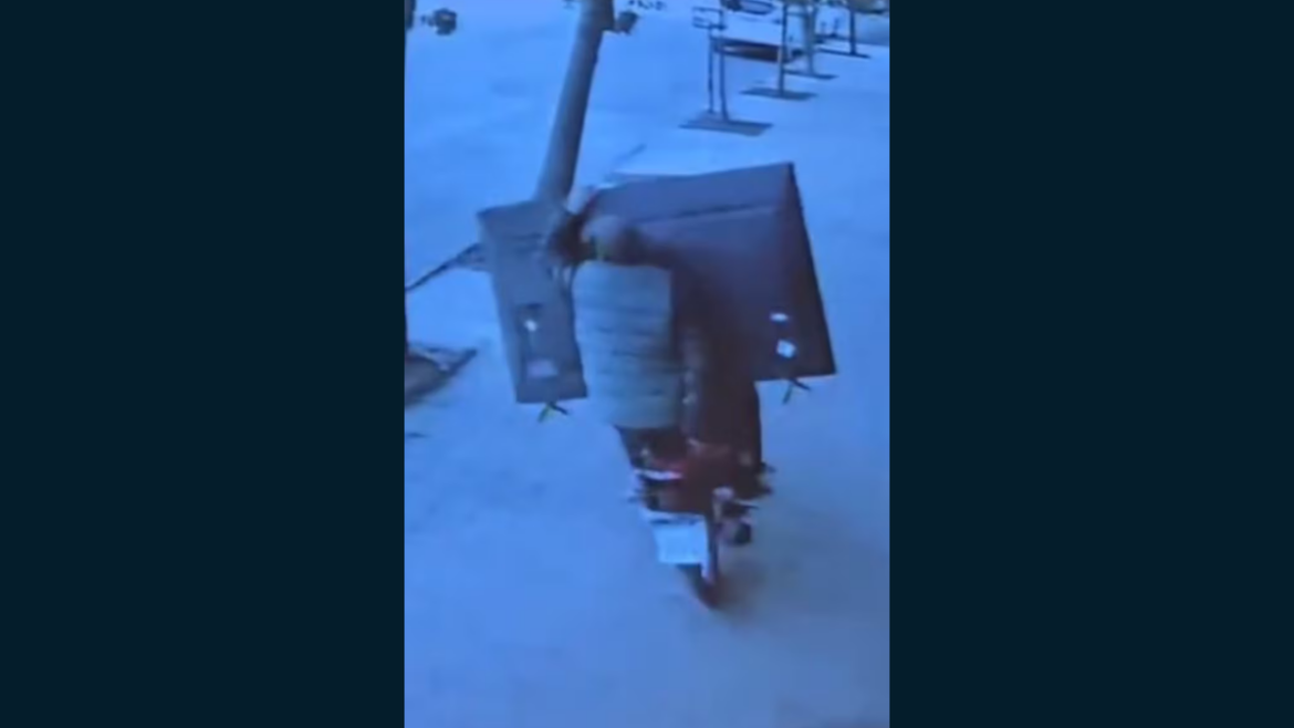Robaron un televisor, escaparon en moto y terminaron chocando contra un árbol