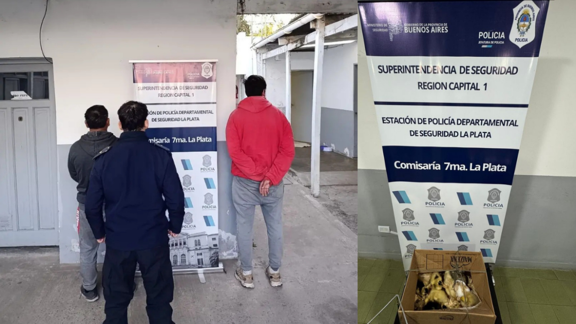 Detuvieron a dos hombres en La Plata acusados de vender crías de animales en la calle