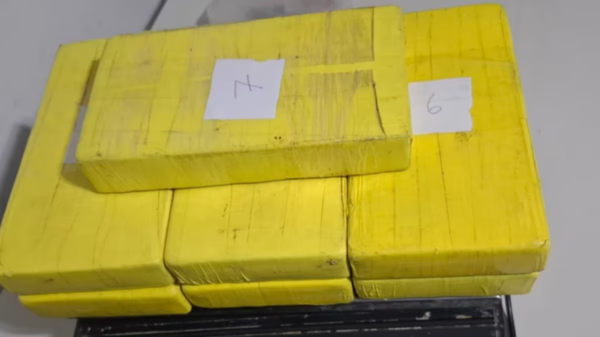 Secuestraron más de siete kilos de cocaína en un control sobre la Autopista Buenos Aires-La Plata