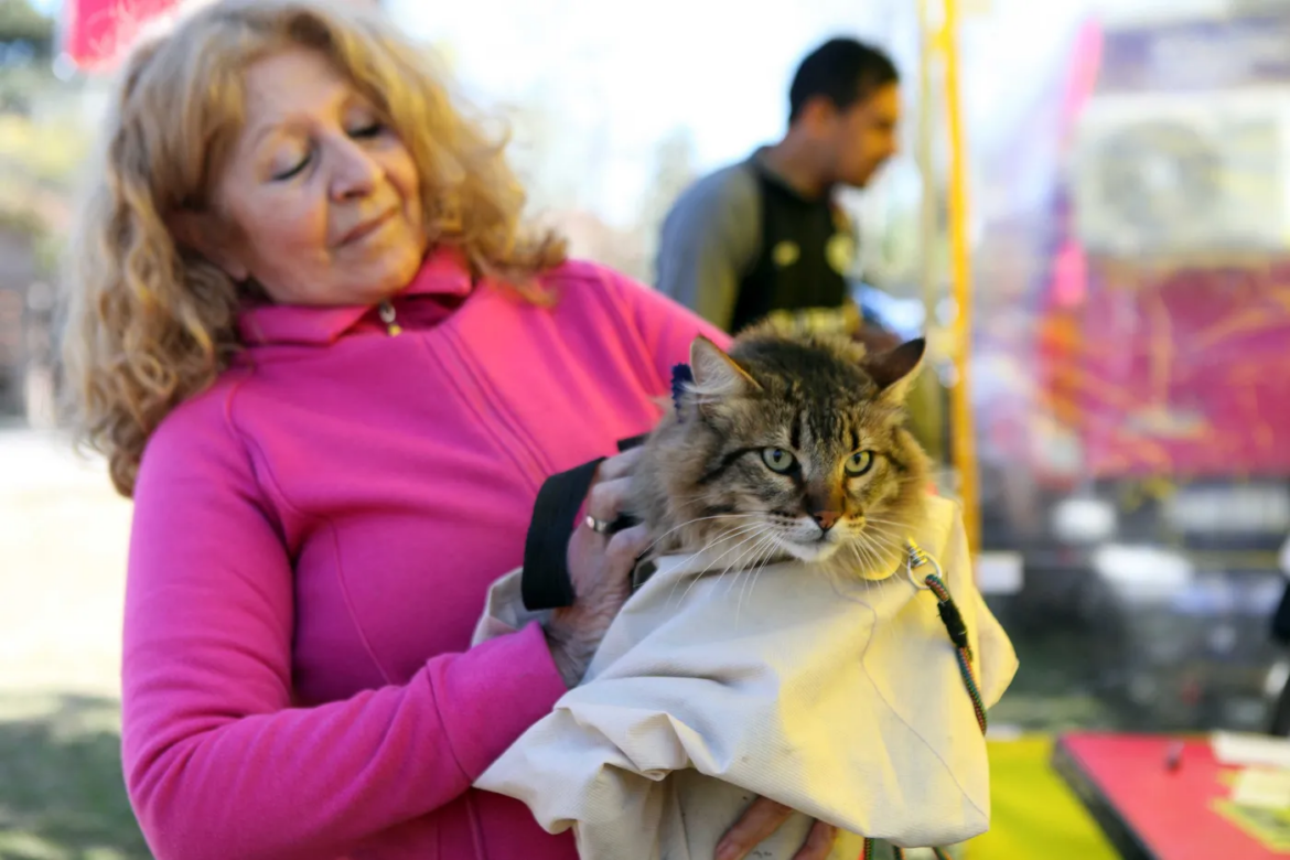 Llegan jornadas municipales de vacunación veterinaria gratuita a Villa Elvira