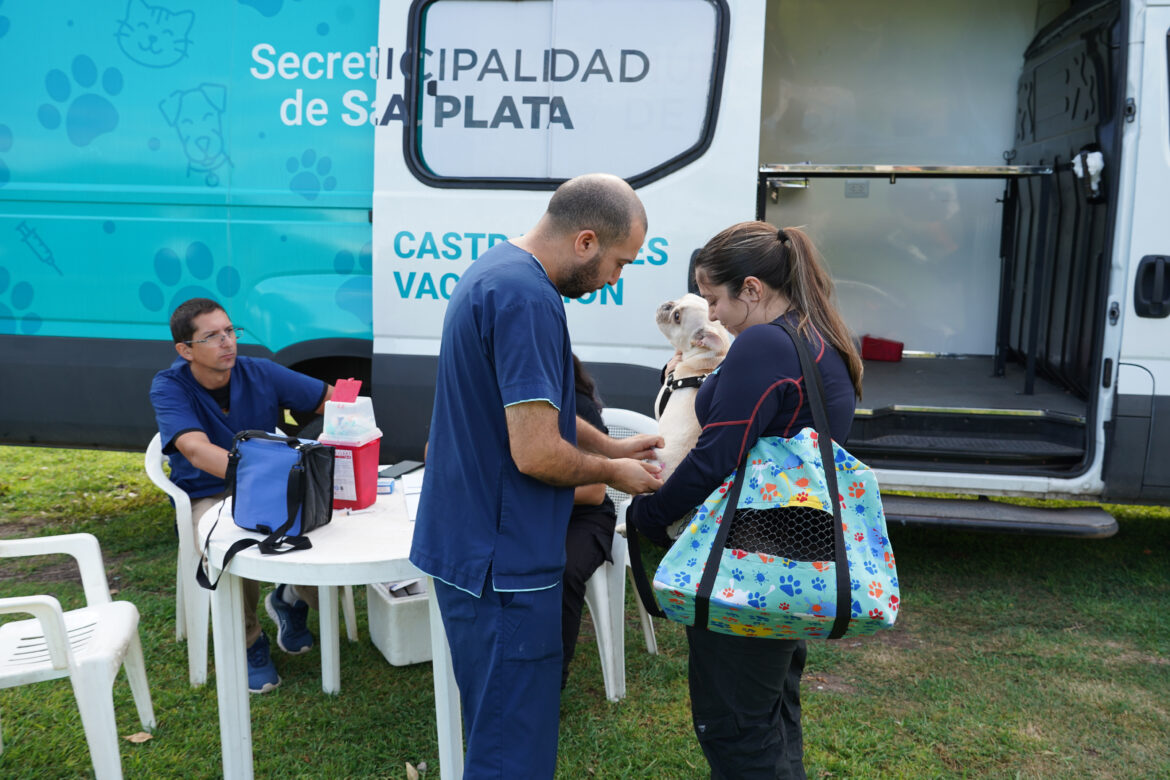 Nuevas jornadas gratuitas de vacunación veterinaria en Los Hornos