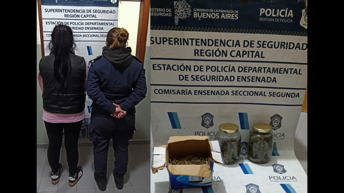 Una mujer fue detenida tras un allanamiento por un incendio intencional