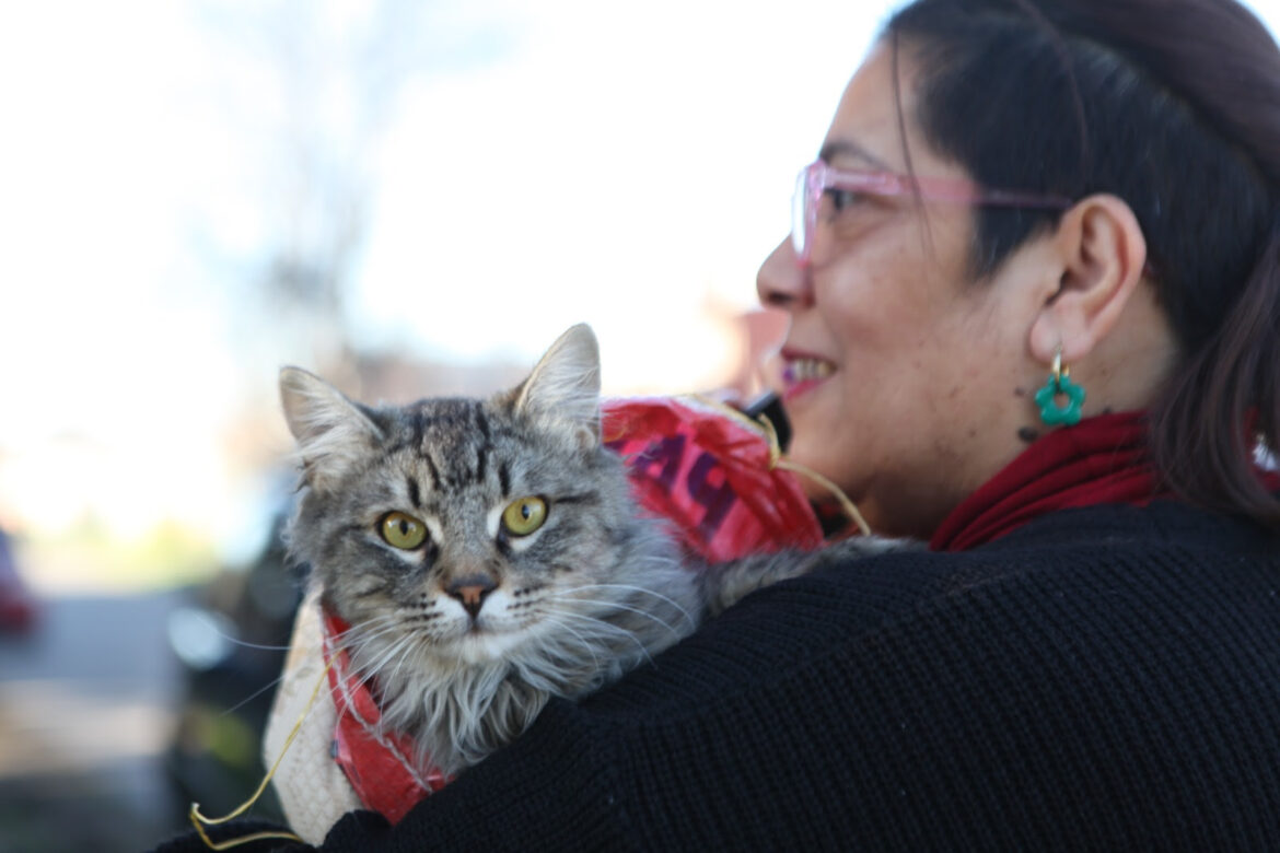 Llegan jornadas municipales de vacunación veterinaria gratuita a Abasto